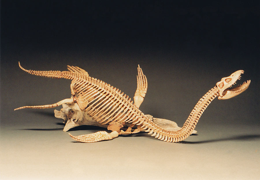 BrantWorks: Kaiyodo Futabasaurus skeleton Kit